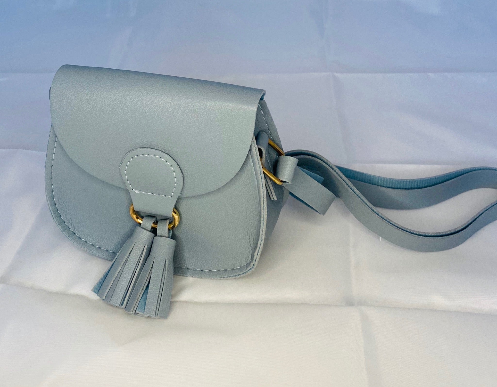 Buy MINISO Crossbody Bag Clear Material Girls Shoulder Bag Dual Use Simple  Fashion Online at desertcartINDIA